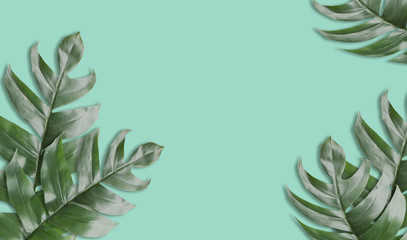 Fototapeta na wymiar Green tropical leafs fram with vintage green tone background or green tropical leave frame concept natural background, Original dimensions 6408 x 3780 Pixels