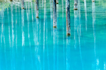 北海道　夏の青い池