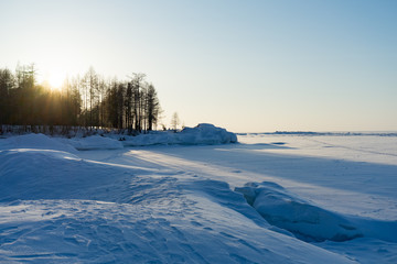 winter landscape with trees and snow