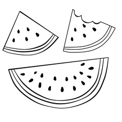 Contour  illustration with slices of watermelon  on white background.