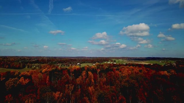 Flying above beautiful treetops in the stunning lush autumn forest in. Aerial view. Red fall colors.