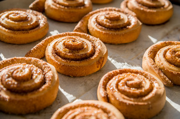 Obraz na płótnie Canvas Freshly baked cinnamon rolls 