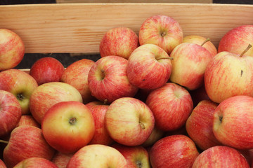 Fototapeta na wymiar Apples in the market