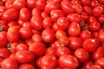 Tomatoes in the market