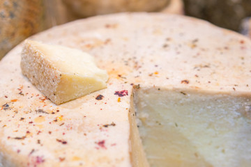 Craft cheese. Cheese head. Artisan cheese. close up