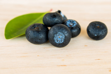 Fresh blueberry