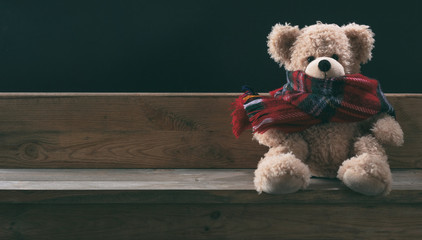 Cute teddy bear with scarf sitting alone on a wooden bench