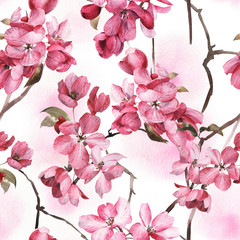 Fototapety  Kwiatowy wzór z różowymi kwiatami, akwarela.