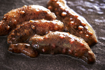 Fresh sea cucumber 