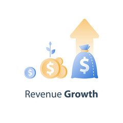Financial value steady growth, long term investment strategy, asset allocation, revenue increase, mutual fund interest rate