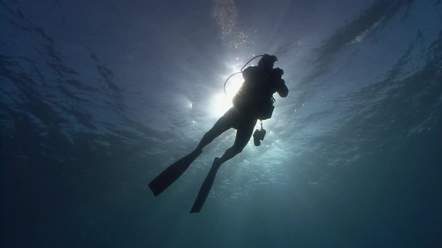 Underwater view of Scuba Diver silhouetted against the sun