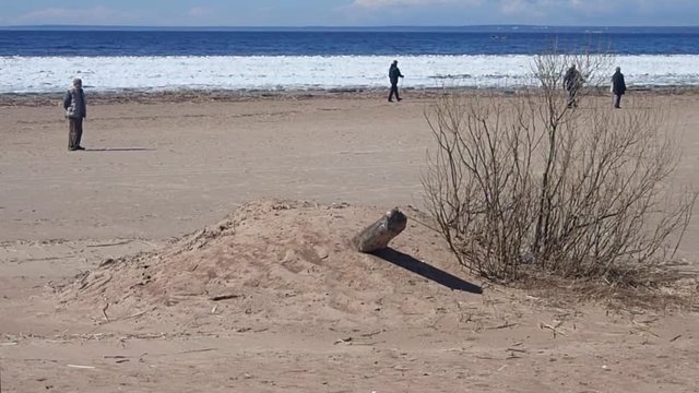 A man with a dog is walking along the beach in the spring.