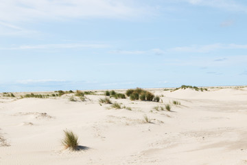 blick auf die sanddünen auf der nordsee insel borkum fotografiert während einer sightseeing tour auf der insel bei strahlendem sonnenschein an einem spätsommertag