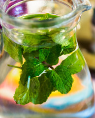 A glass pitcher of water with fresh mint leaves.