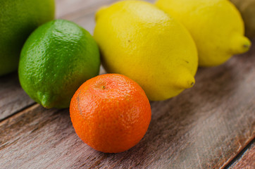 Citrus fruits orange, lemon, grapefruit, mandarin, lime