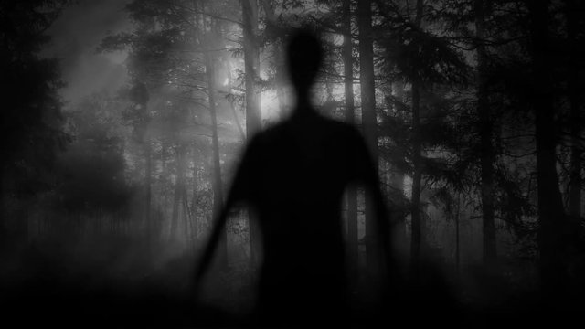 Male Ghost Silhouette In Dark Foggy Forest