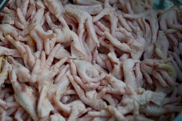 Cut fresh chiken leg  
