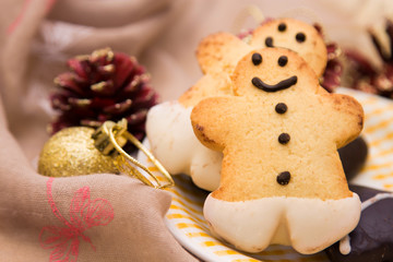 Christmas gingerbread cookies