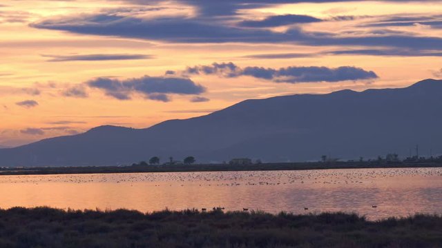 Sunset or sunrise over the Ebro delta and birds silhouettes in Catalonia, Spain.