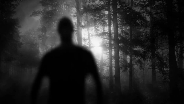 Male Ghost Silhouette In Dark Foggy Forest
