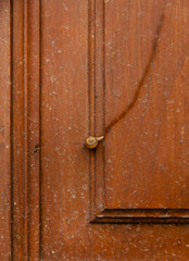 una piccola chiocciola e la sua scia su una vecchia porta - 232764642