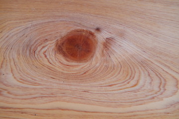 hinoki wood background and texture