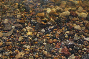 Obraz na płótnie Canvas stones in water