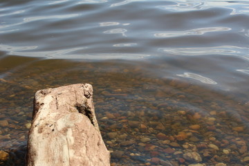 stones in water