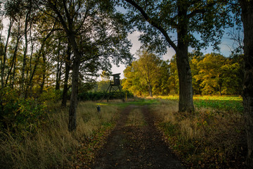 Revierweg