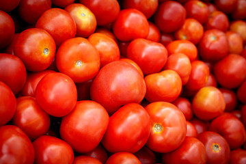 Group of fresh tomatoes organic vegetables background in market