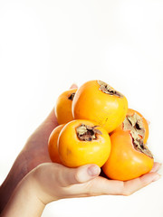 Hand holding persimmon kaki fruits, isolated