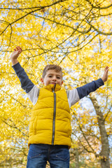 Cute kid against a yellow tree in autumn