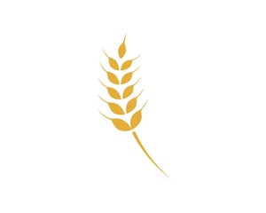 Agriculture wheat Logo Template vector icon design