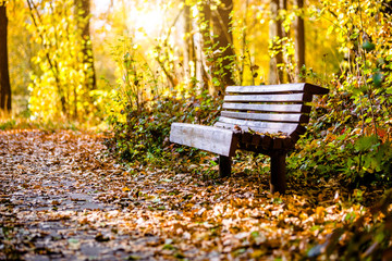 Autumn background-bench in the city Park 