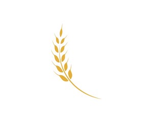 Agriculture wheat Logo Template vector icon design
