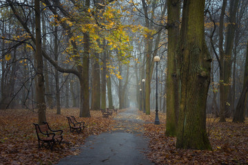 Jesień w parku  © Mariusz Stoszewski