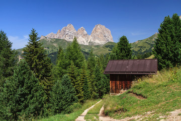 Fototapeta na wymiar Dolomiti - Sassolungo mount from Fassa Valley, Italy