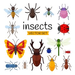 Vector set of cute cartoon insects.
