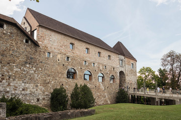 Fototapeta na wymiar ljubljana castle