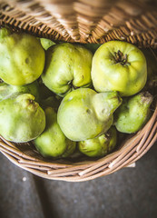 Basket full of Quince fruit