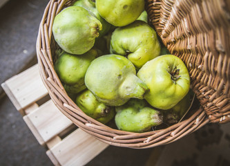 Basket full of Quince fruit
