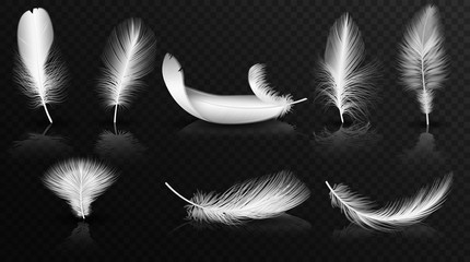 Vector white feathers on the glossy transperant alpha background collection. Realistic volumetric fluffy twirled feathers set.