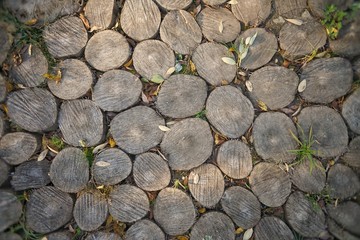 Cobbled with wood, a road or a path. Natural background. Copy space.