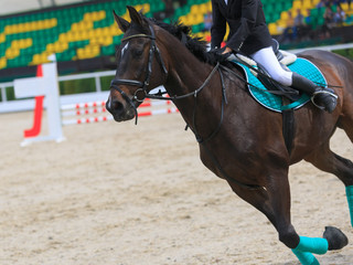 Rider on the horseback jumps on stadium on the background of the grandstands of the spectators