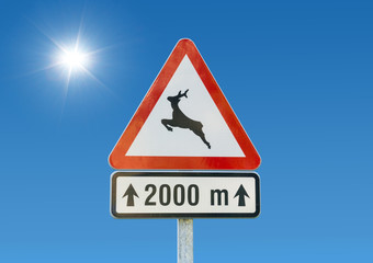 Verkehrszeichen Wildwechsel bei schönem sonnigen Wetter