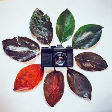 Retro Film Camera surrounded by colorful autumn leaves on white background. Creative concept of time. The visual image of time