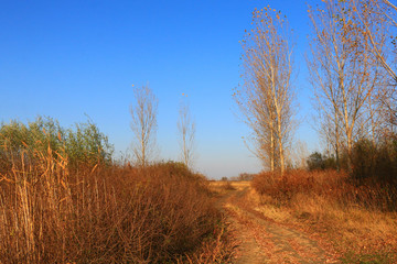 Beautiful Fall scene 