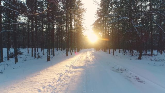 Driving on snow covered road in winter forest at sunset. Slow motion low angle dolly shot.