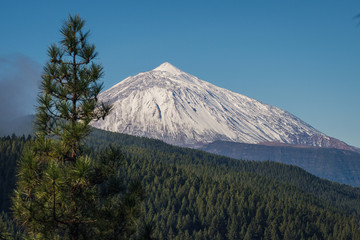 Teide mountain, Tenerife. Amazing mountain in the middle of the island. Best tourist attraction of...