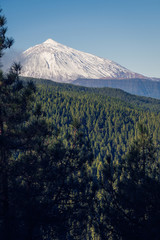Teide mountain, Tenerife. Amazing mountain in the middle of the island. Best tourist attraction of Canary Islands.